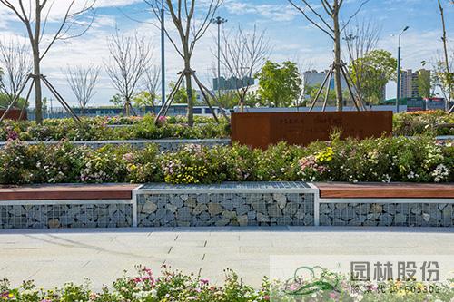 电竞比赛押注app