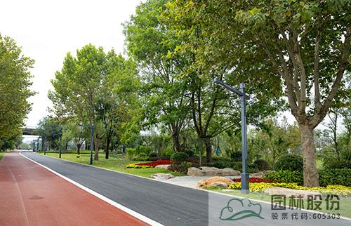 电竞比赛押注app