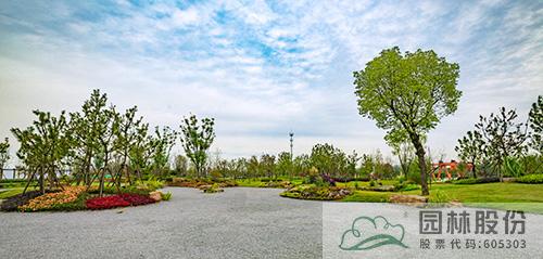 电竞比赛押注app