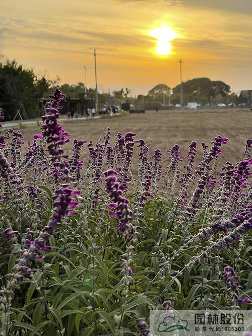 电竞比赛押注app