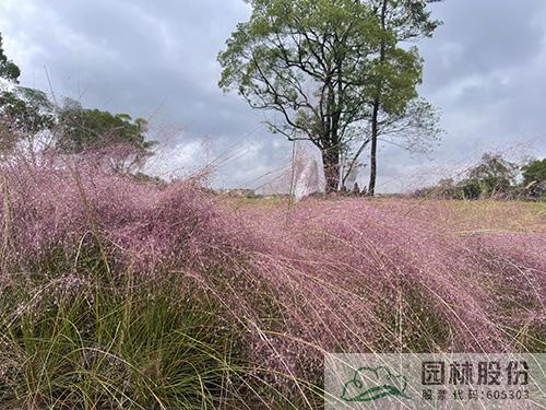 电竞比赛押注app