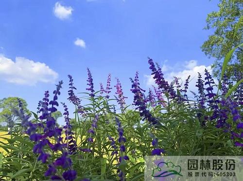 电竞比赛押注app