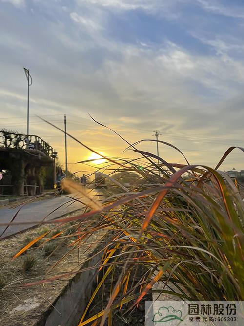 电竞比赛押注app