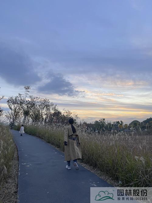 电竞比赛押注app