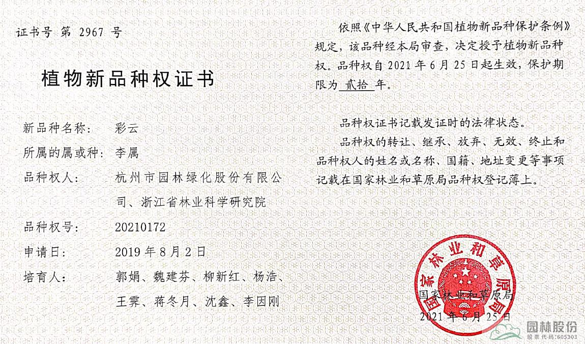 电竞比赛押注app