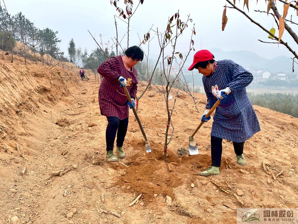 电竞比赛押注app