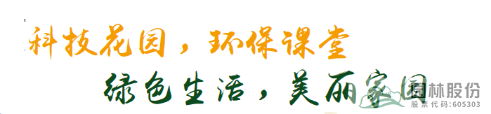 电竞比赛押注app