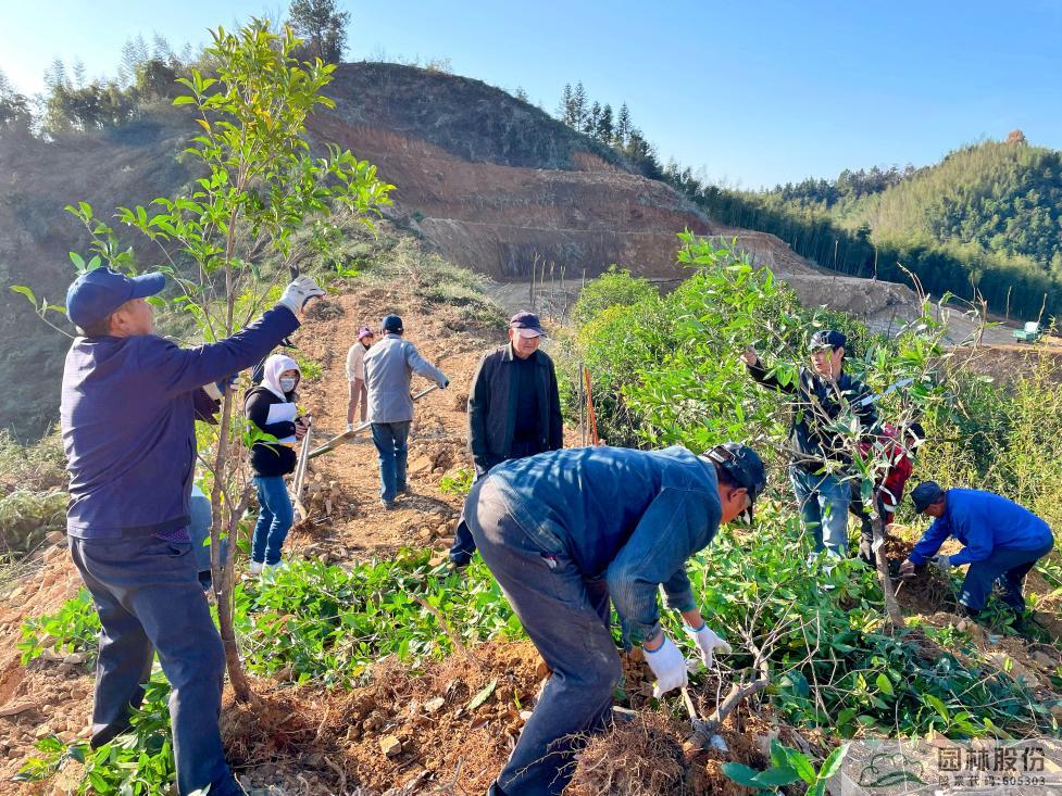 电竞比赛押注app