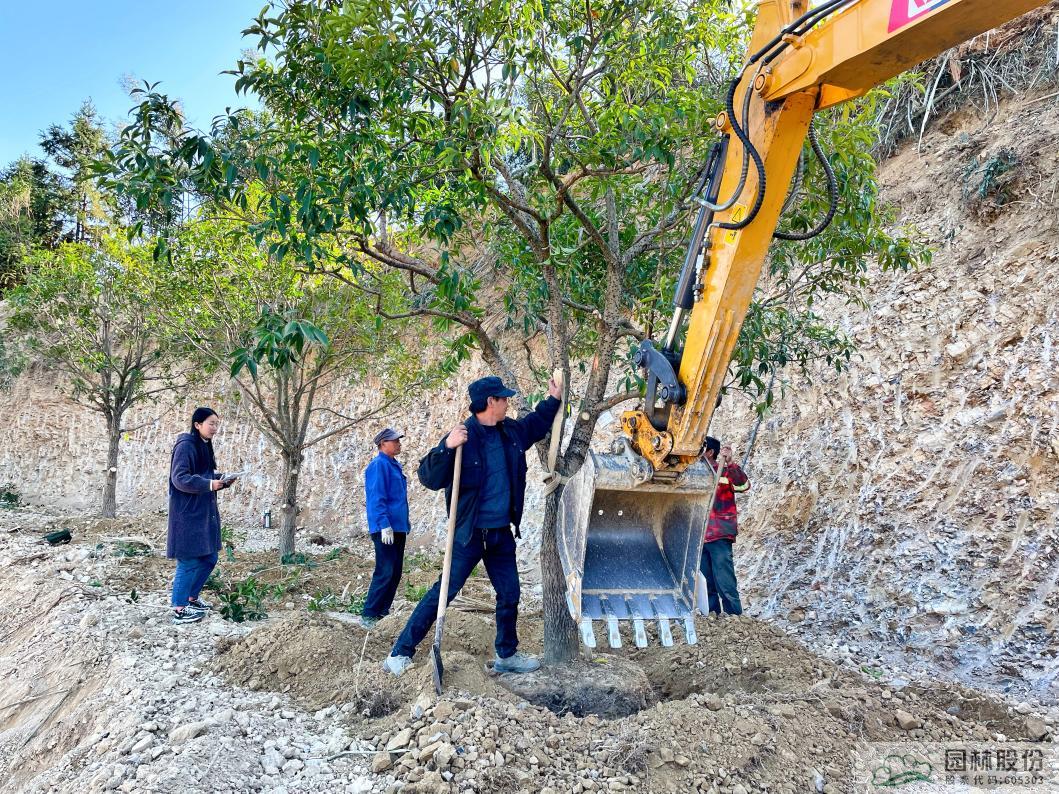 电竞比赛押注app