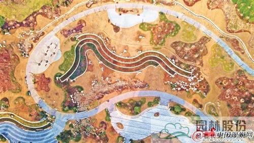 电竞比赛押注app