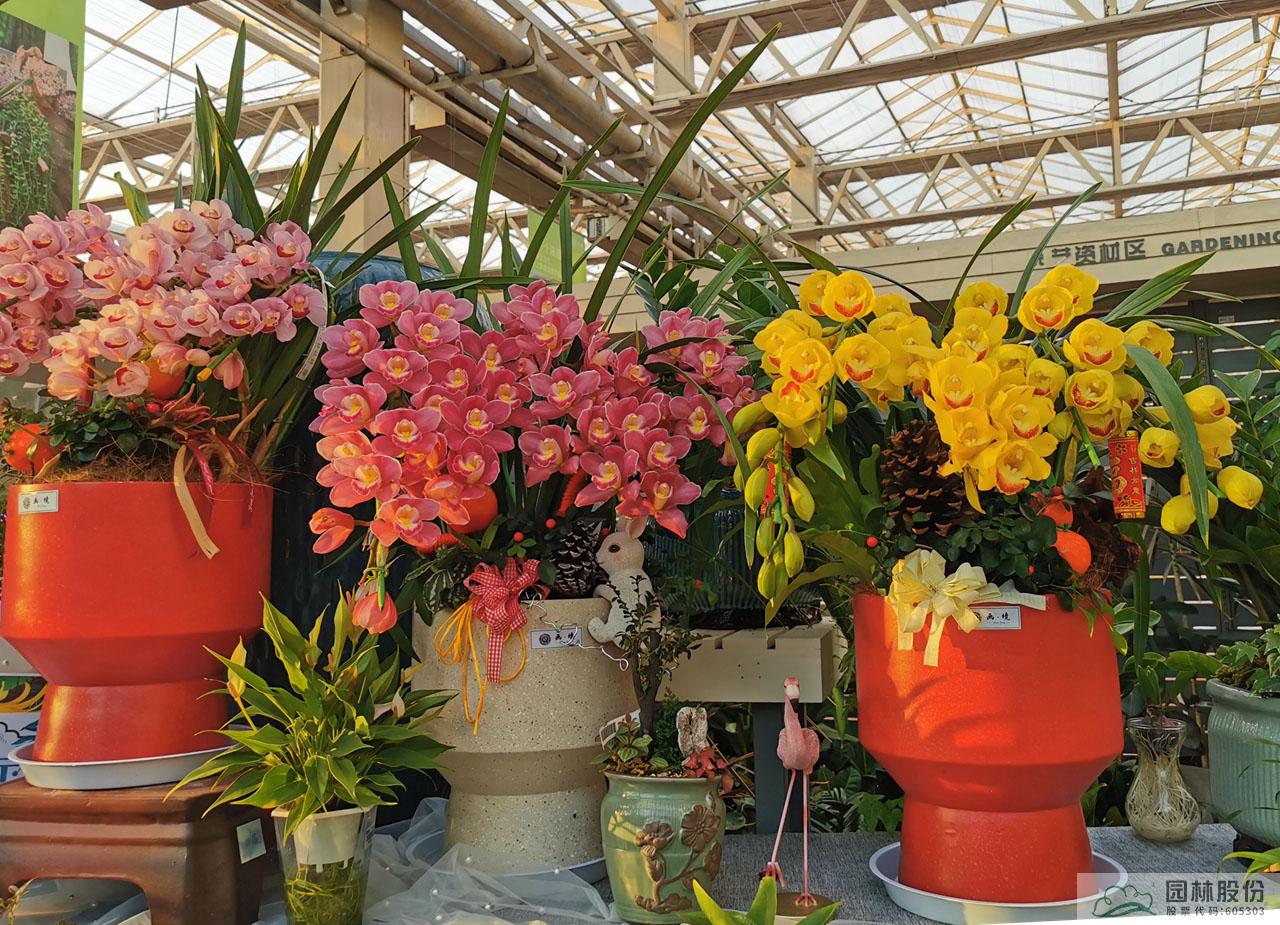 电竞比赛押注app