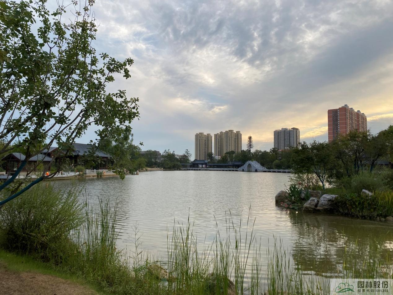 电竞比赛押注app