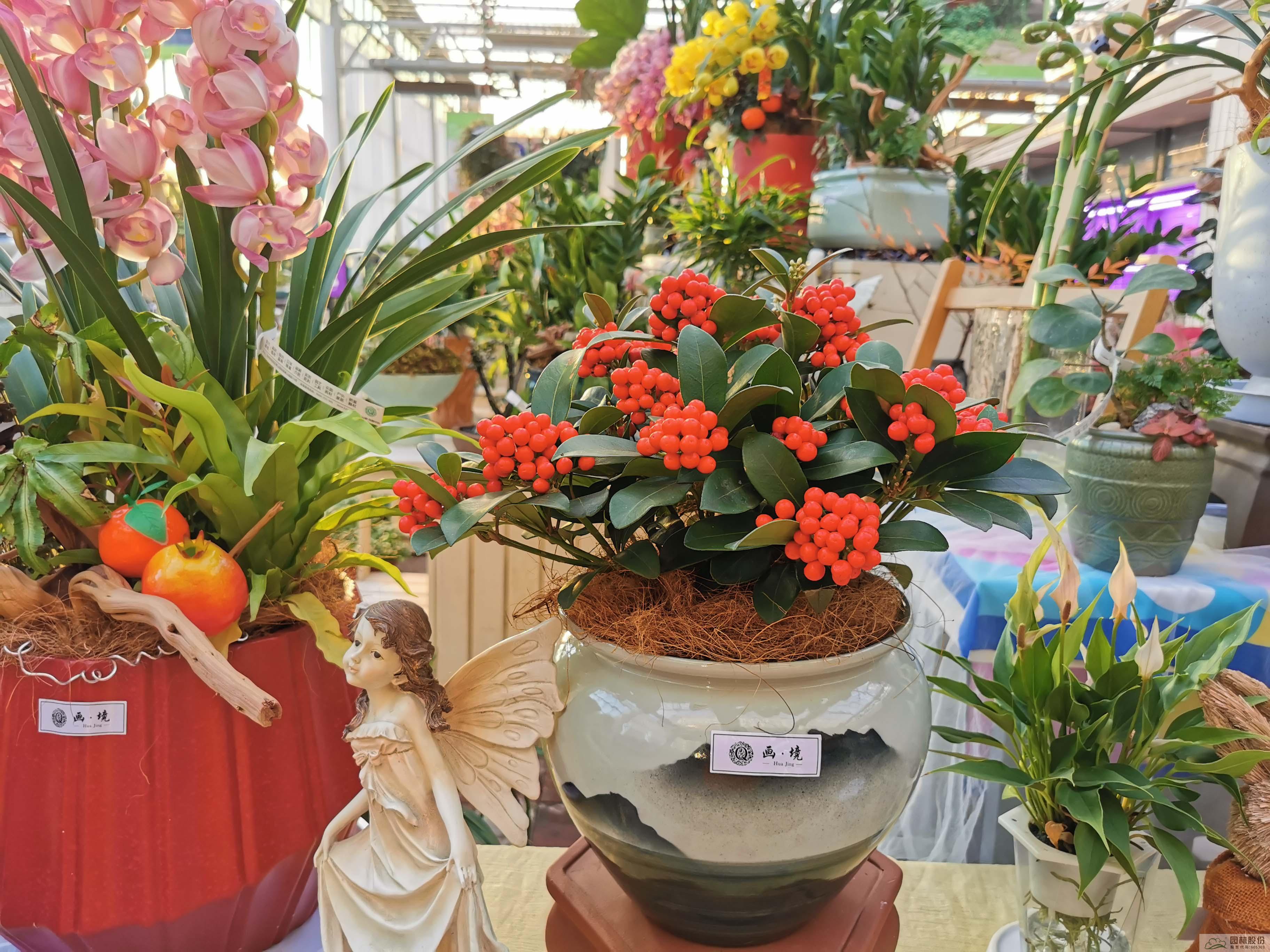 电竞比赛押注app