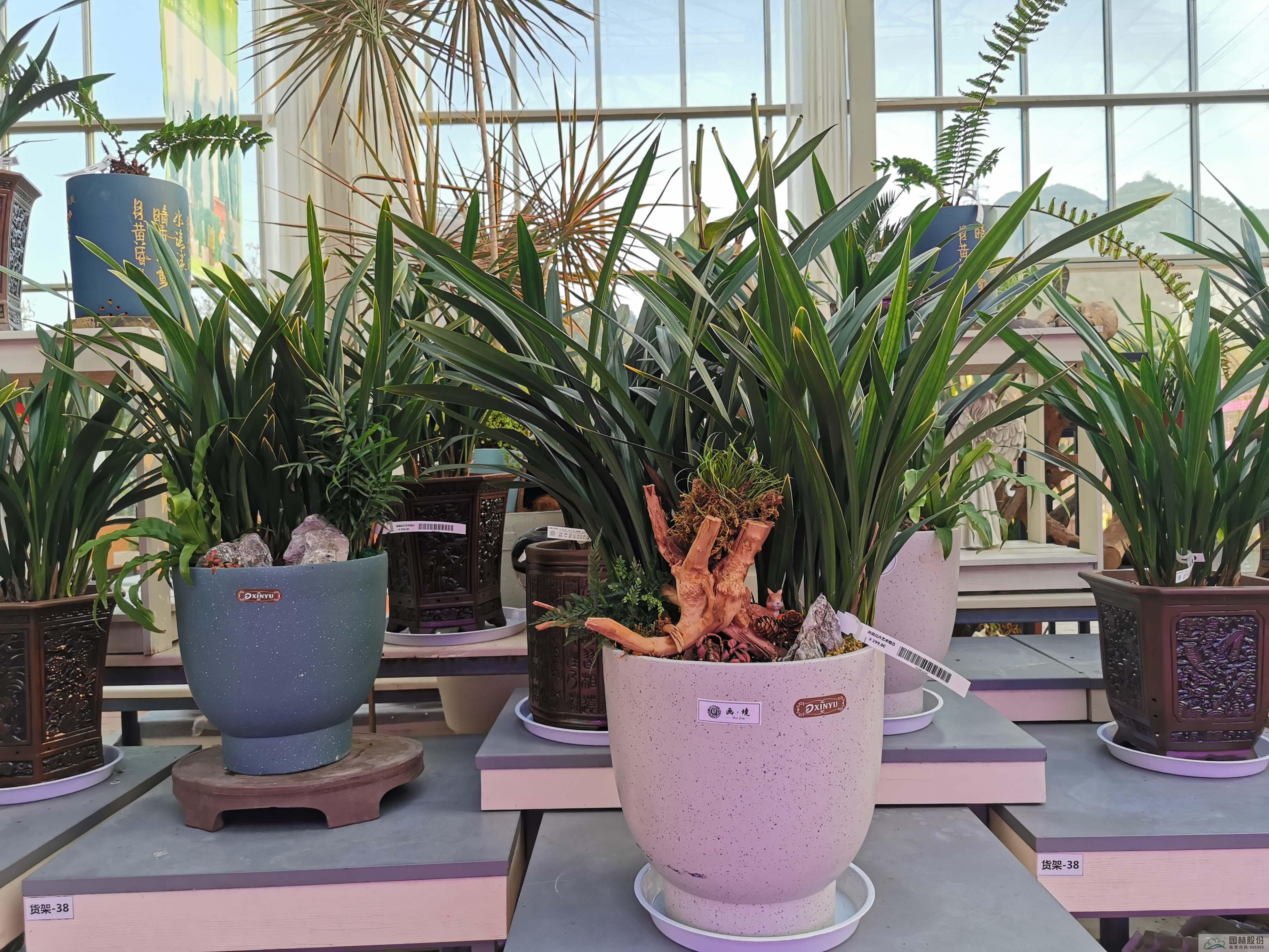 电竞比赛押注app