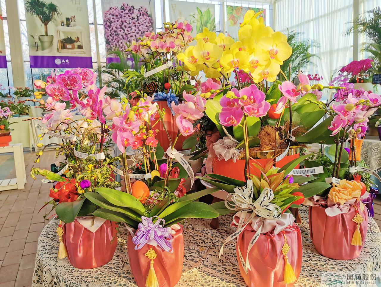 电竞比赛押注app