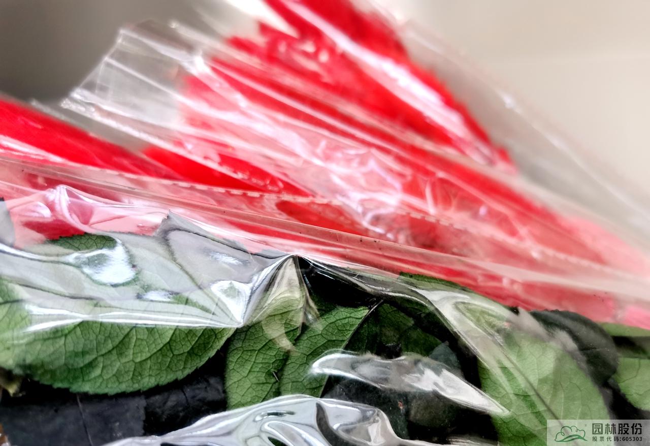 电竞比赛押注app