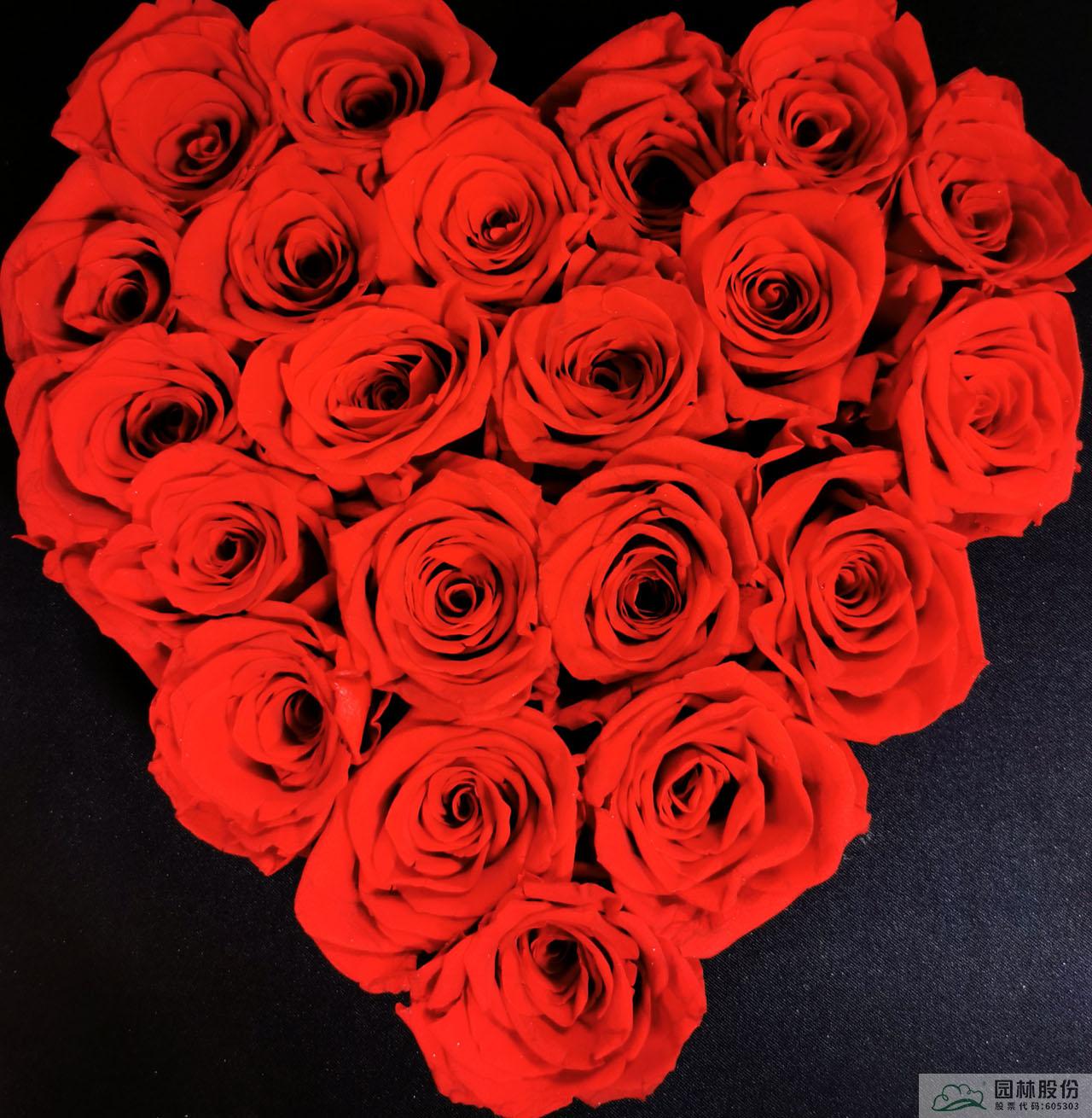 电竞比赛押注app