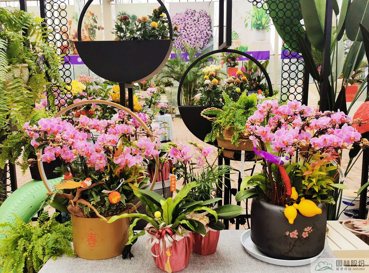 电竞比赛押注app