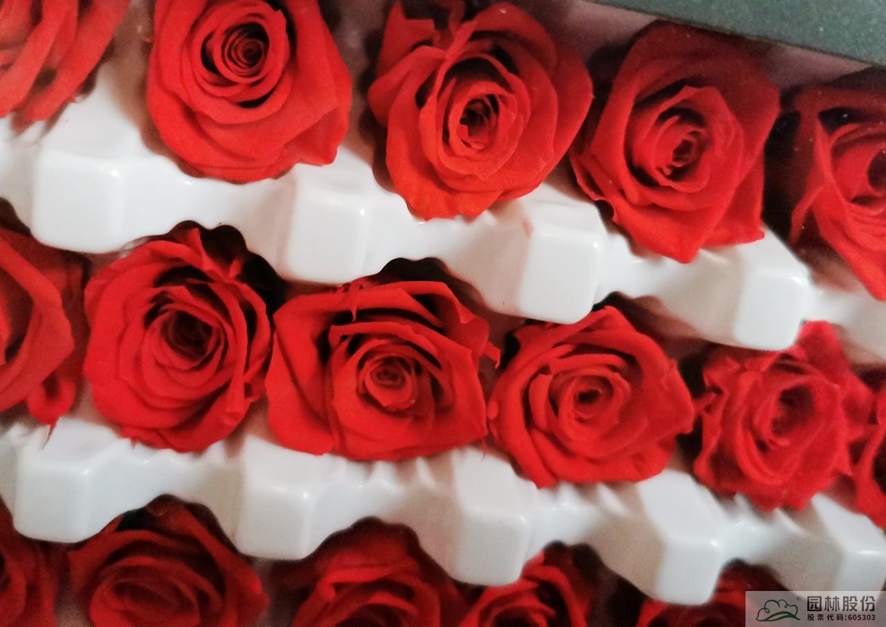 电竞比赛押注app