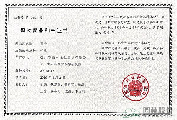 电竞比赛押注app