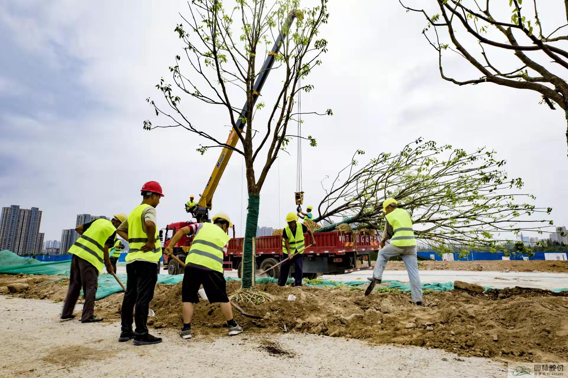 电竞比赛押注app