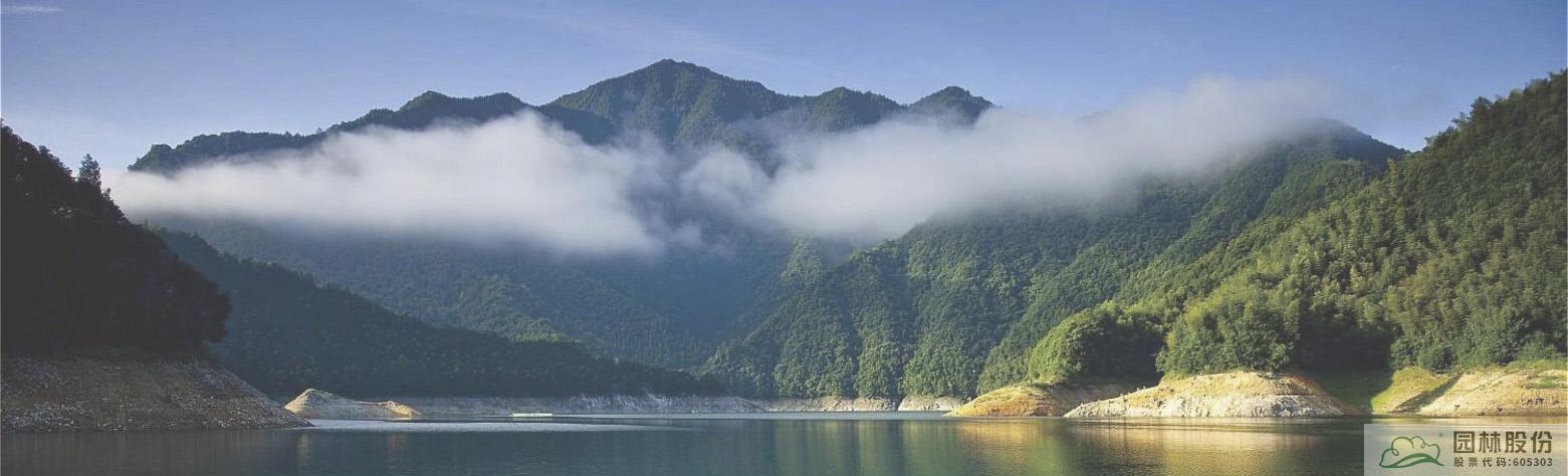 电竞比赛押注app