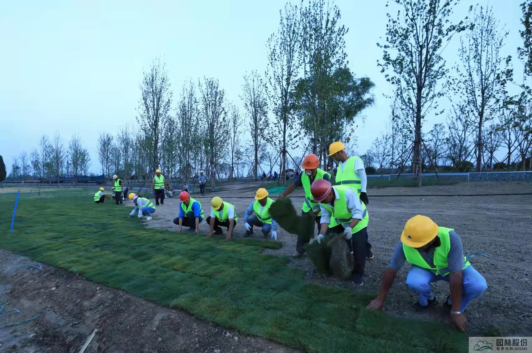 电竞比赛押注app