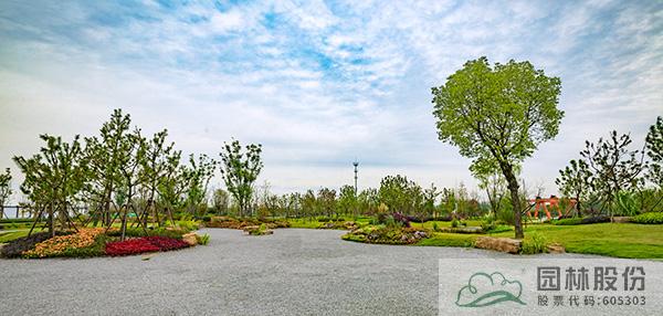 电竞比赛押注app