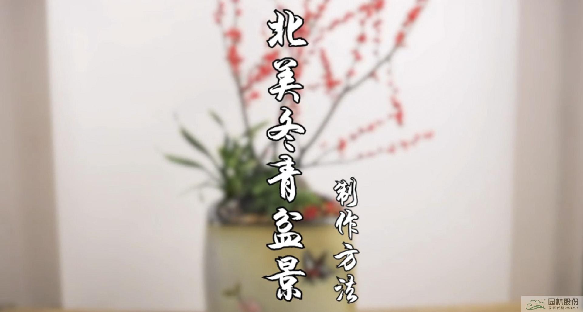 电竞比赛押注app