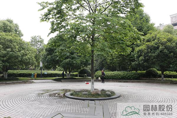 电竞比赛押注app