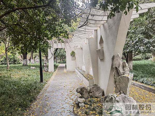 电竞比赛押注app