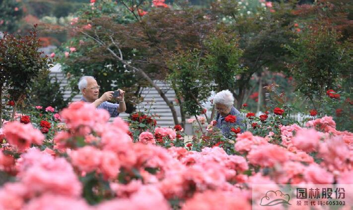 电竞比赛押注app