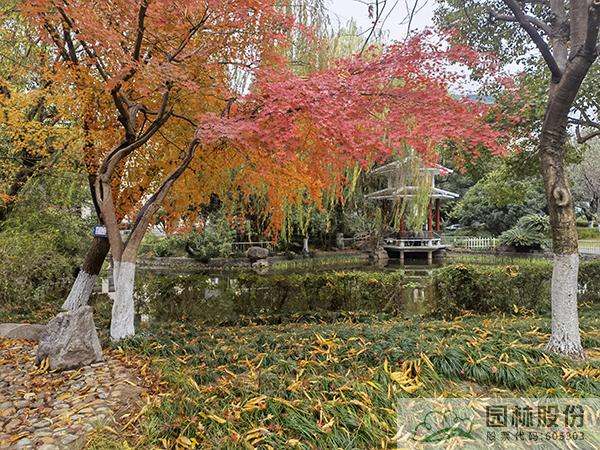 电竞比赛押注app