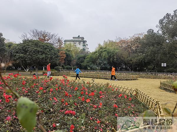 电竞比赛押注app