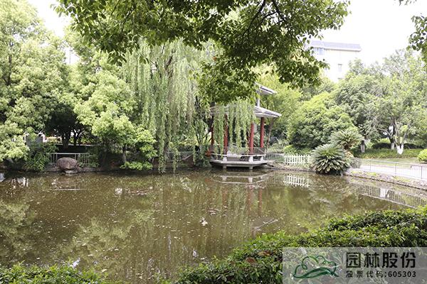 电竞比赛押注app