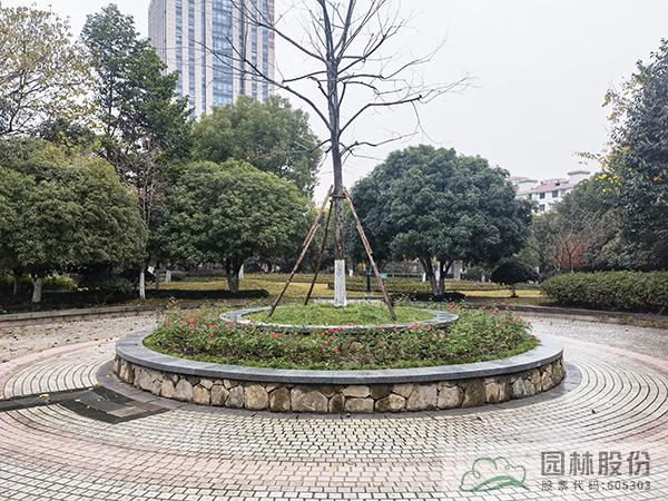 电竞比赛押注app