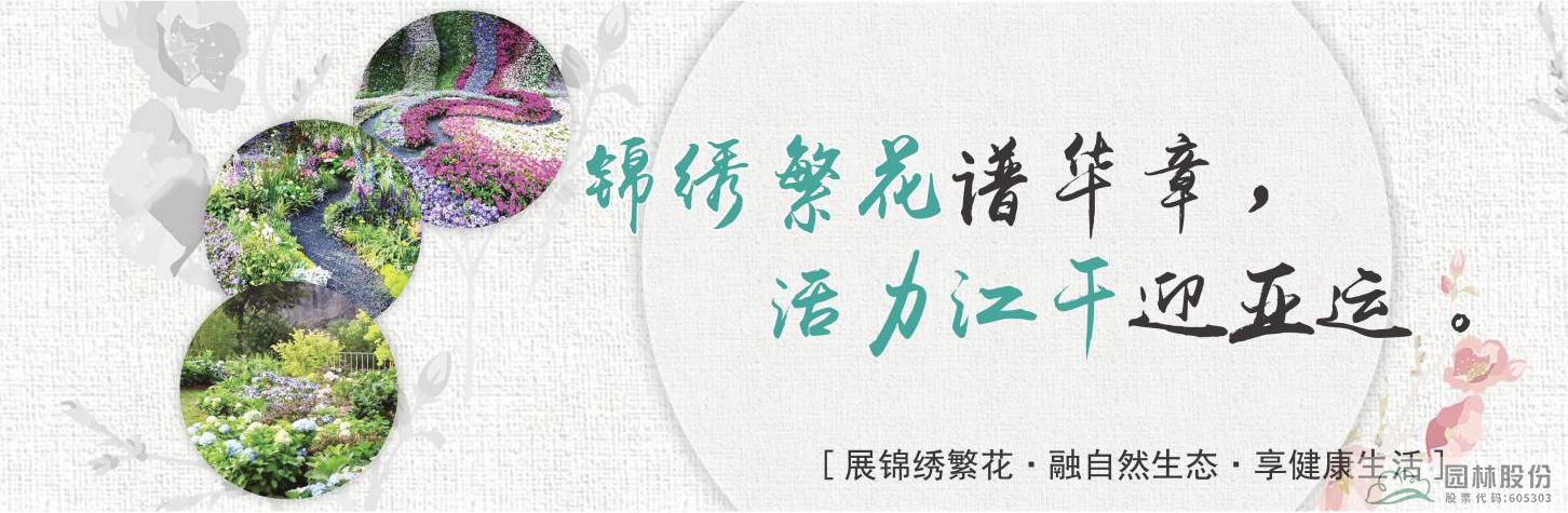 电竞比赛押注app