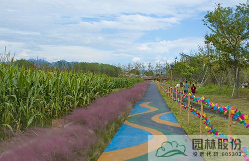 电竞比赛押注app