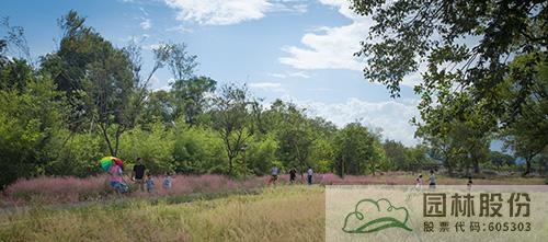 电竞比赛押注app