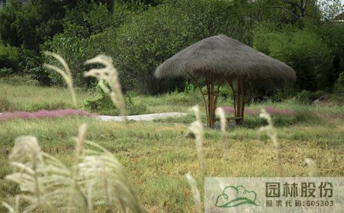 电竞比赛押注app