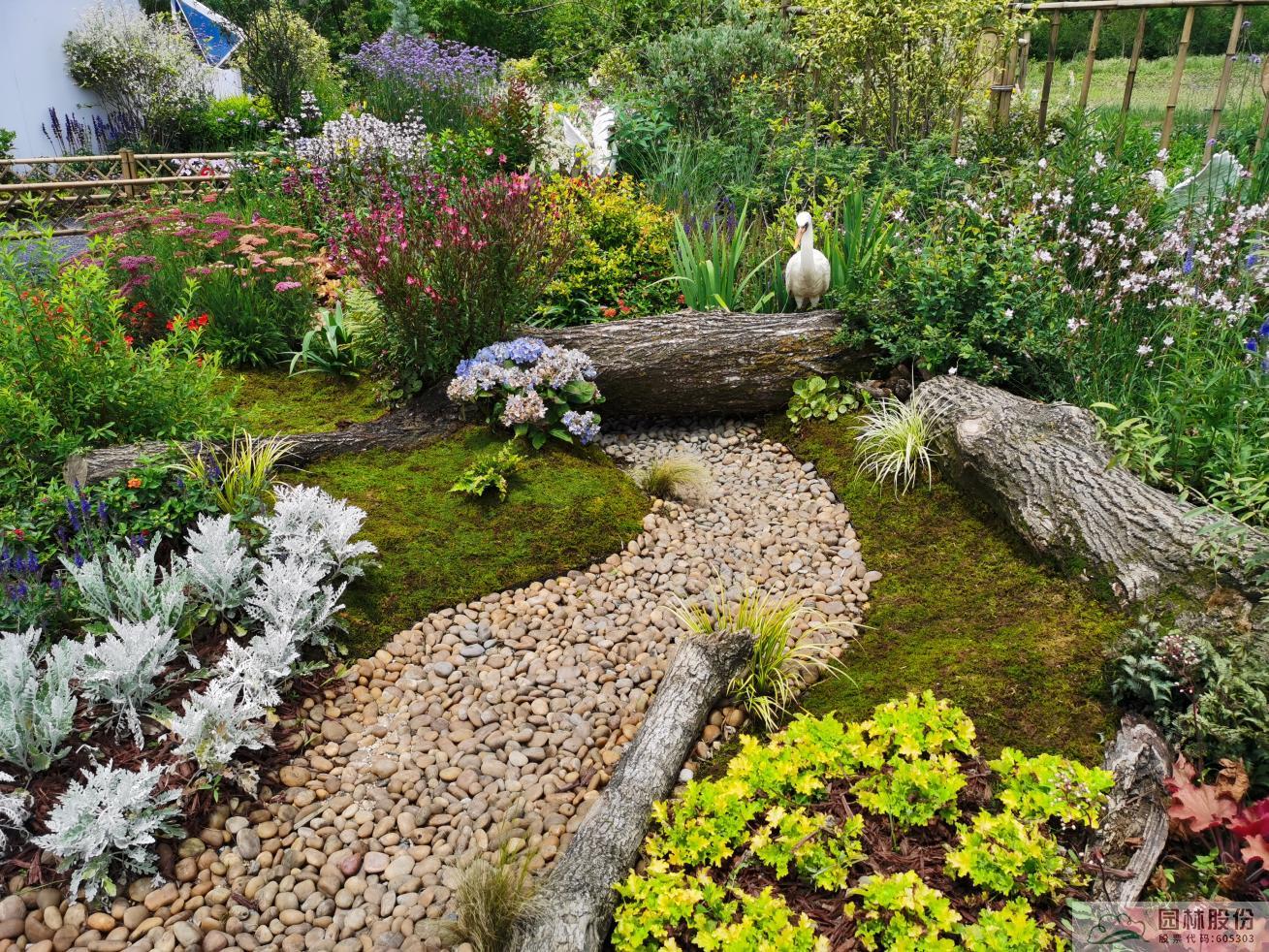 电竞比赛押注app