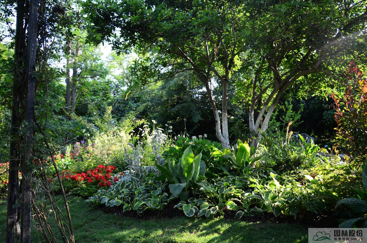 电竞比赛押注app