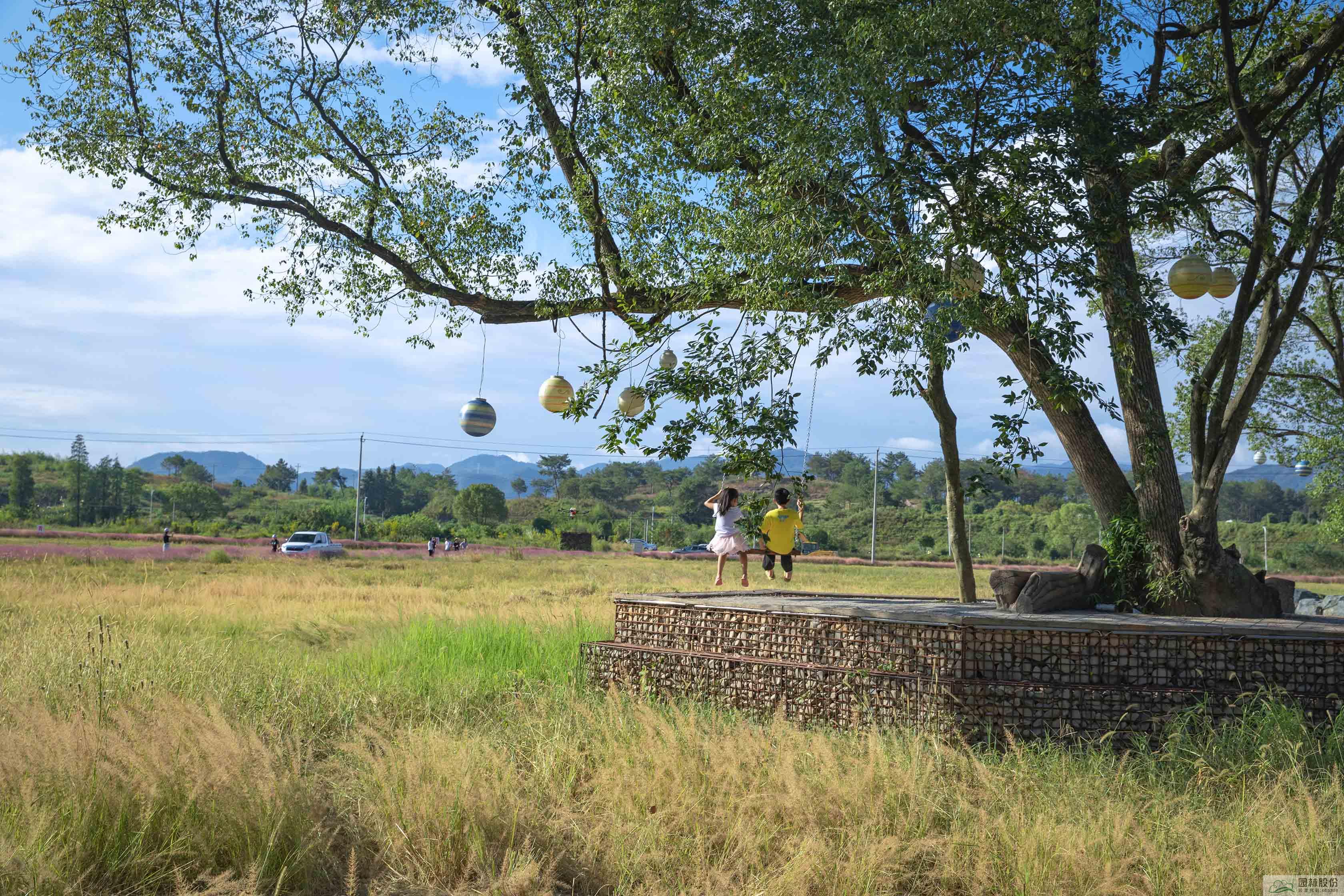 电竞比赛押注app