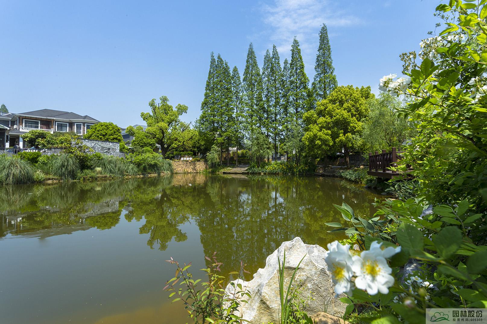 电竞比赛押注app