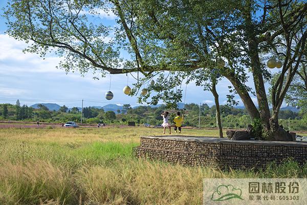 电竞比赛押注app