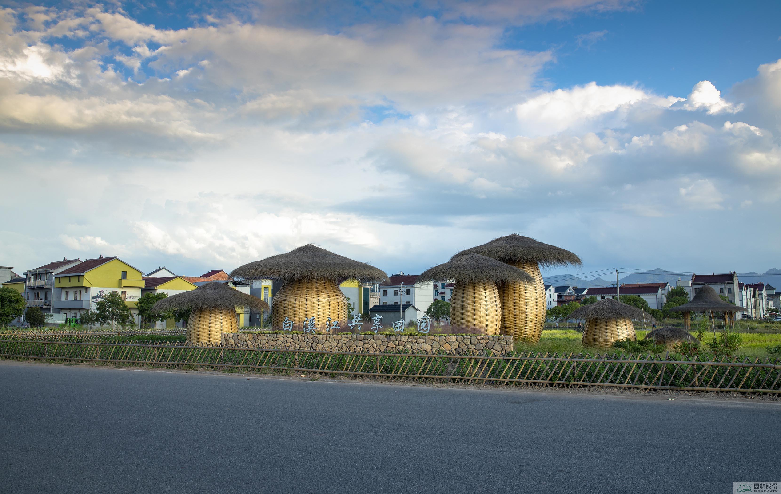 电竞比赛押注app