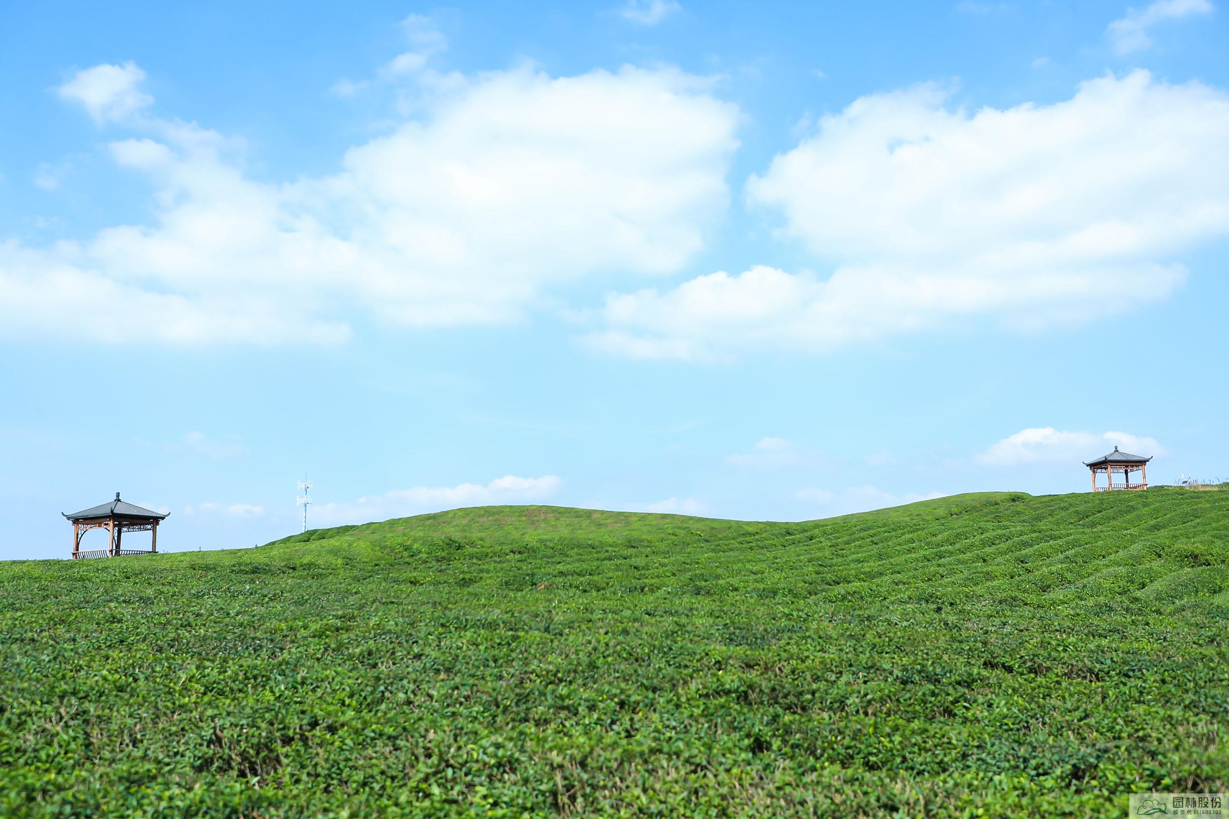 电竞比赛押注app