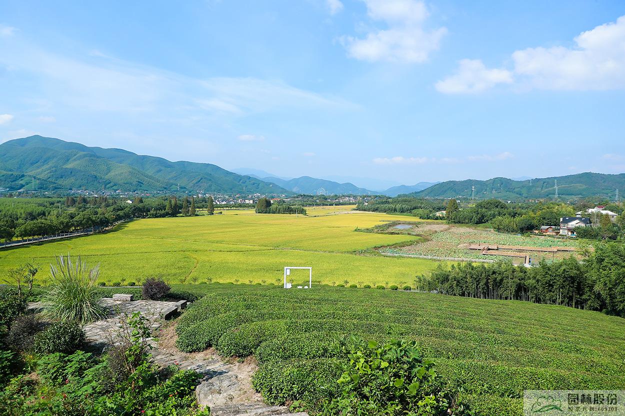 电竞比赛押注app