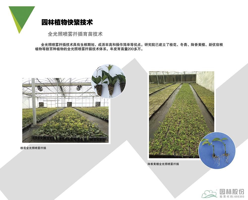 电竞比赛押注app