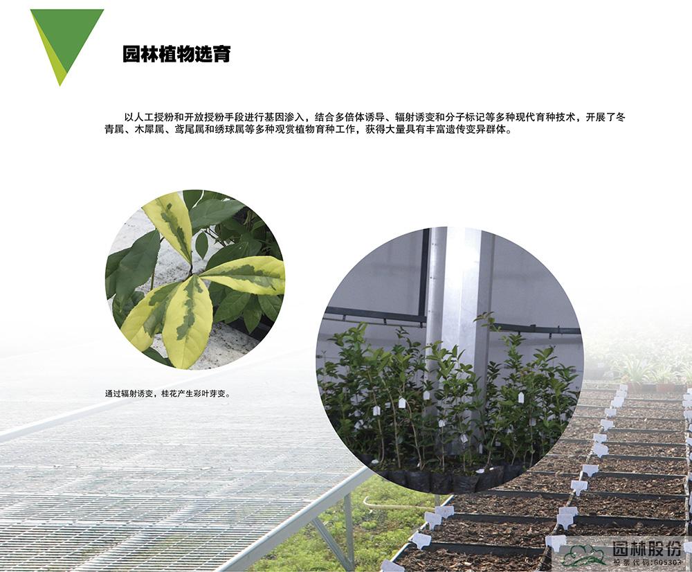 电竞比赛押注app